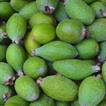  - Camino Boyacá, volver al futuro