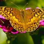  - Camino Boyacá, volver al futuro
