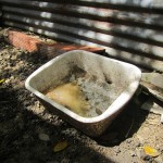  - Holocausto perruno en Santa Marta