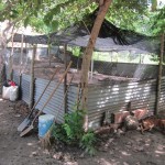  - Holocausto perruno en Santa Marta