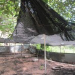  - Holocausto perruno en Santa Marta