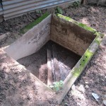  - Holocausto perruno en Santa Marta