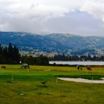  - Paipa a la luz de la luna