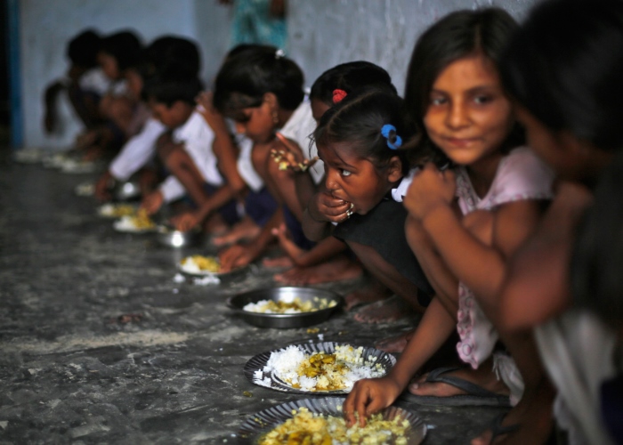 Entonces ¿Le echamos la culpa al pollo?