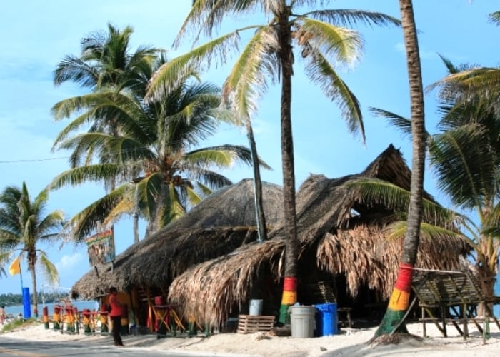 La renuncia de Rudolf Hommes al 