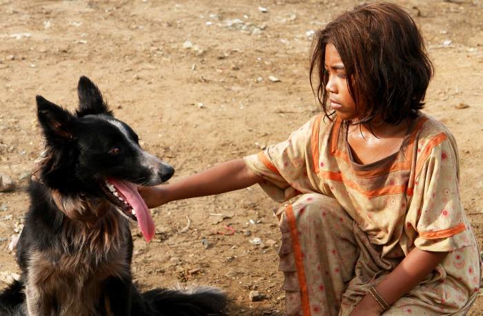 ¿ Ustedes saben cuánto cuesta un wayúu?