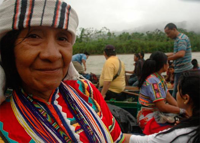 El triunfo de los emberá katío y sus 50 mil hectáreas recuperadas en el Chocó