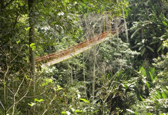El Edén del Quindío