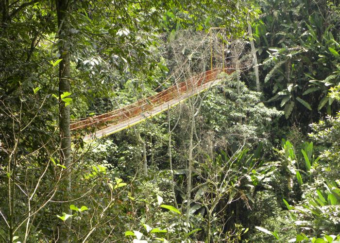 El Edén del Quindío