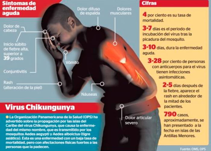 Virus Chikungunya afectaría a millones de colombianos