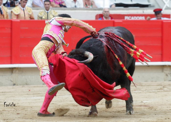 Vuelven los toros a Bogotá,¿Justicia?