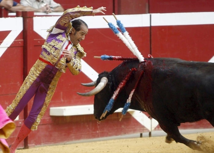 De toros, gallos y mataderos