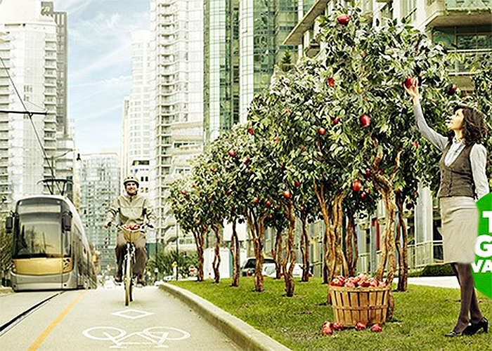 Vancouver, la ciudad más verde del planeta en 2020