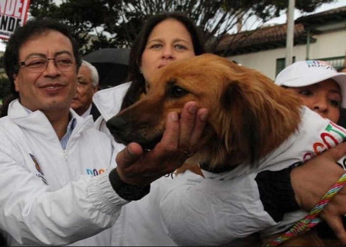 Qué ha pasado con el centro de zoonosis de Bogotá
