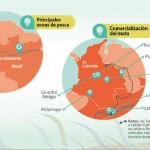 Carroña por liebre - -- Las2orillas - Carroña por liebre