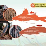 Carroña por liebre - -- Las2orillas - Carroña por liebre