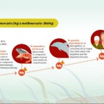 Carroña por liebre - -- Las2orillas - Carroña por liebre