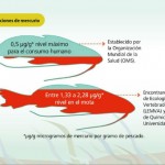 Carroña por liebre - -- Las2orillas - Carroña por liebre
