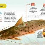 Carroña por liebre - -- Las2orillas - Carroña por liebre