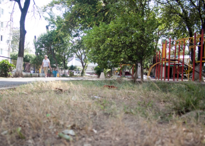 Los parques de Cúcuta se están muriendo de sed