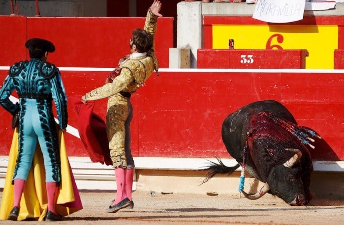 Consulta por los toros ¿2016?