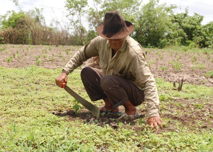 ¿A quién le sirve realmente la ley de baldíos?