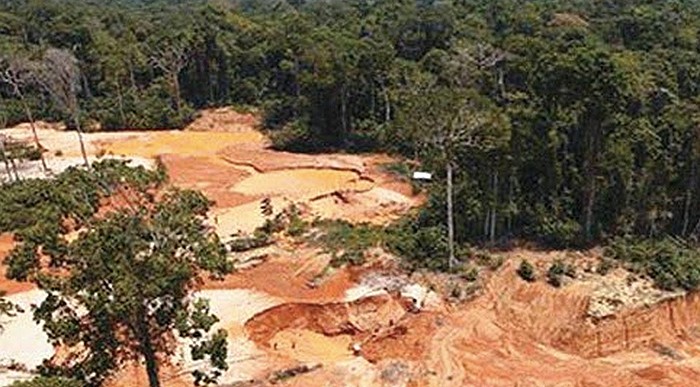  - Avanza en Colombia REDD+ para combatir el cambio climático
