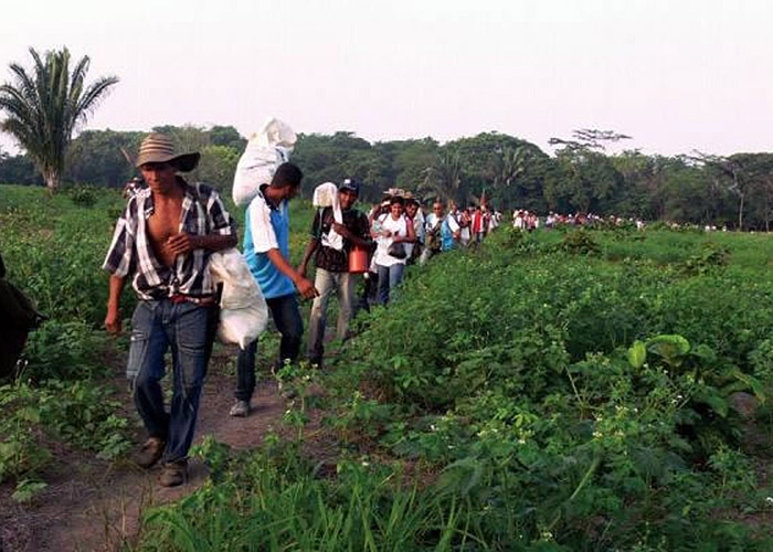 ¿Cómo lograr que la restitución de tierras sea exitosa?