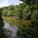  - Deléitese con los paisajes del Caquetá