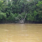 - Deléitese con los paisajes del Caquetá