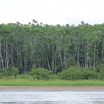  - Deléitese con los paisajes del Caquetá