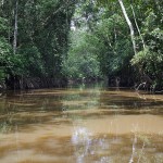  - Deléitese con los paisajes del Caquetá