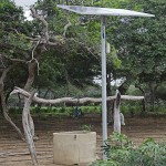  - Granjas misteriosas en La Guajira