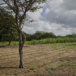  - Granjas misteriosas en La Guajira