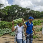  - Granjas misteriosas en La Guajira