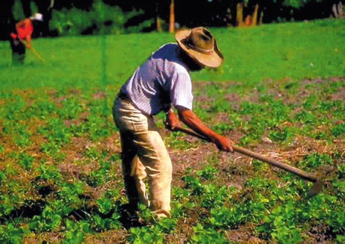 Colombia, un pueblo con sed de paz y libertad