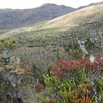  - Nos despedimos de Bogotá y la Sabana pero seguimos al Caquetá