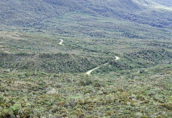 Destruir un ecosistema que puede no recuperarse jamás