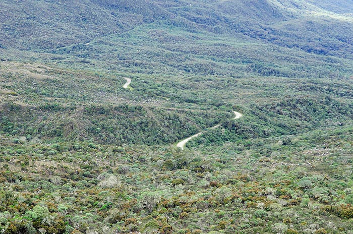 Destruir un ecosistema que puede no recuperarse jamás