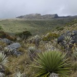  - Nos despedimos de Bogotá y la Sabana pero seguimos al Caquetá