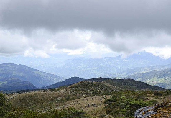 Parque Nacional Natural Chingaza: Serranía del Dios de la noche