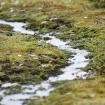  - Nos despedimos de Bogotá y la Sabana pero seguimos al Caquetá