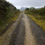  - Nos despedimos de Bogotá y la Sabana pero seguimos al Caquetá
