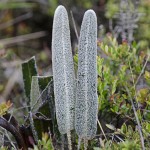  - El sonido del agua nos acompaña