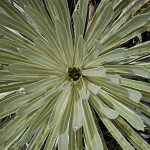  - El sonido del agua nos acompaña