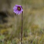  - El sonido del agua nos acompaña