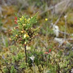  - El sonido del agua nos acompaña