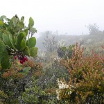  - El sonido del agua nos acompaña