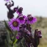  - El sonido del agua nos acompaña