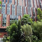  - Tenemos chance de regalarle al mundo soluciones